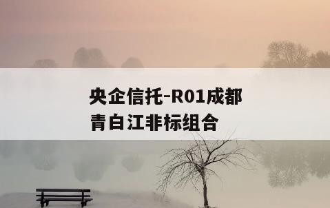 央企信托-R01成都青白江非标组合