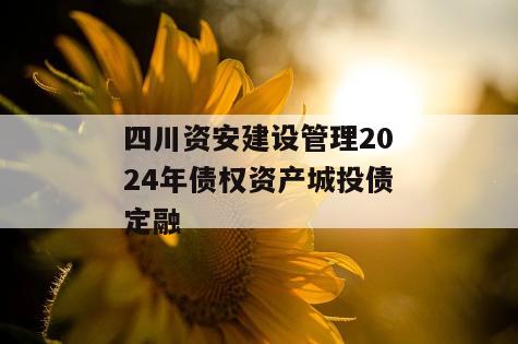 四川资安建设管理2024年债权资产城投债定融