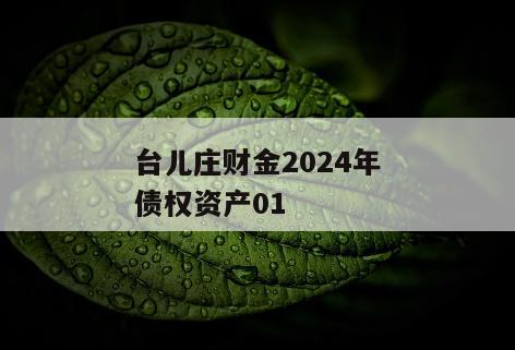 台儿庄财金2024年债权资产01