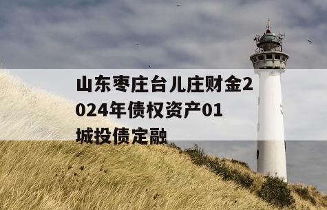 山东枣庄台儿庄财金2024年债权资产01城投债定融