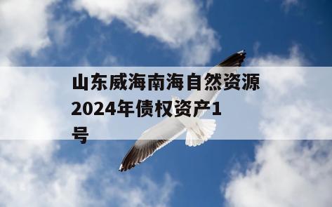山东威海南海自然资源2024年债权资产1号