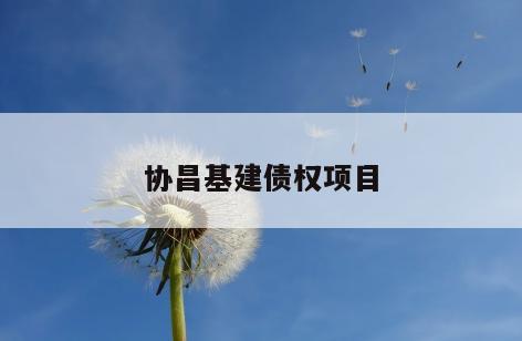 协昌基建债权项目