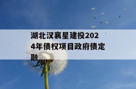 湖北汉襄星建投2024年债权项目政府债定融