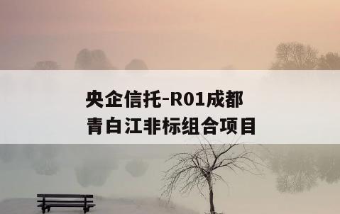 央企信托-R01成都青白江非标组合项目