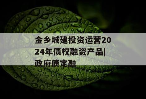 金乡城建投资运营2024年债权融资产品|政府债定融
