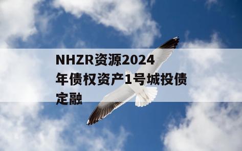 NHZR资源2024年债权资产1号城投债定融