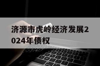济源市虎岭经济发展2024年债权