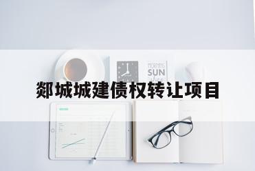 郯城城建债权转让项目