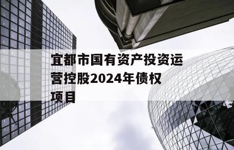 宜都市国有资产投资运营控股2024年债权项目