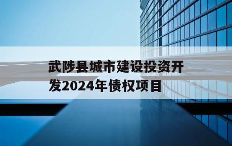 武陟县城市建设投资开发2024年债权项目
