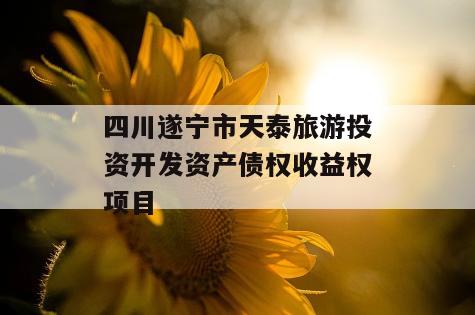四川遂宁市天泰旅游投资开发资产债权收益权项目