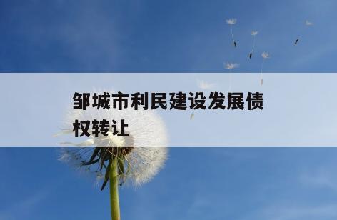 邹城市利民建设发展债权转让