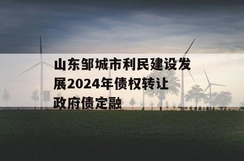 山东邹城市利民建设发展2024年债权转让政府债定融