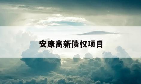 安康高新债权项目