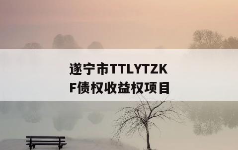 遂宁市TTLYTZKF债权收益权项目