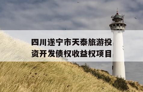 四川遂宁市天泰旅游投资开发债权收益权项目