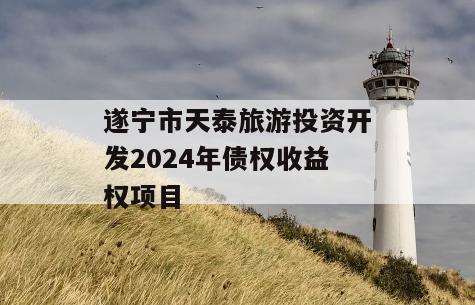 遂宁市天泰旅游投资开发2024年债权收益权项目