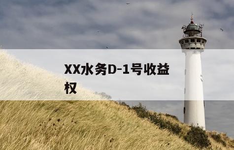 XX水务D-1号收益权