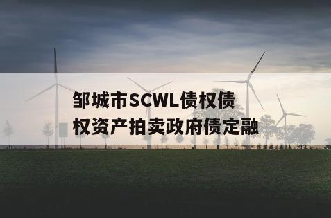 邹城市SCWL债权债权资产拍卖政府债定融