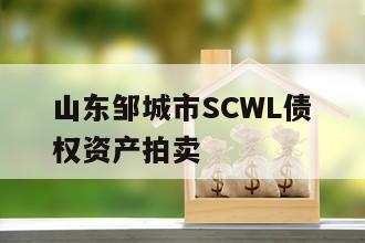 山东邹城市SCWL债权资产拍卖