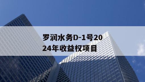 罗润水务D-1号2024年收益权项目