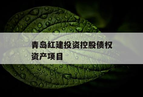 青岛红建投资控股债权资产项目