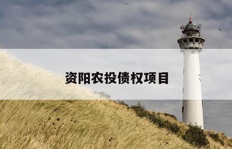 资阳农投债权项目