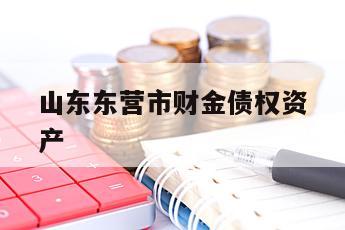 山东东营市财金债权资产