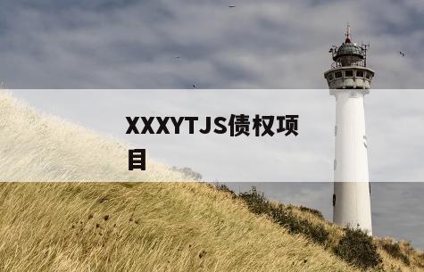 XXXYTJS债权项目