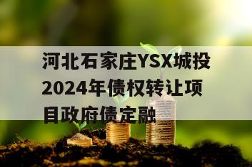 河北石家庄YSX城投2024年债权转让项目政府债定融