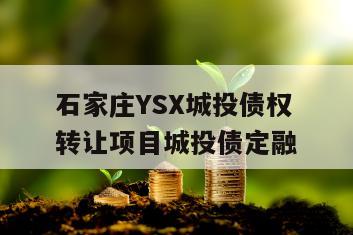 石家庄YSX城投债权转让项目城投债定融