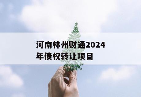 河南林州财通2024年债权转让项目