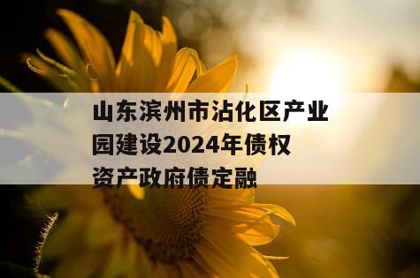 山东滨州市沾化区产业园建设2024年债权资产政府债定融