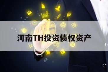 河南TH投资债权资产