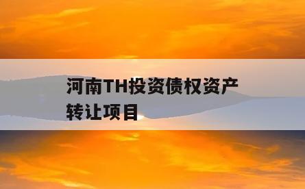 河南TH投资债权资产转让项目