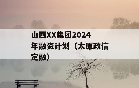山西XX集团2024年融资计划（太原政信定融）