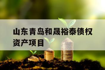 山东青岛和晟裕泰债权资产项目