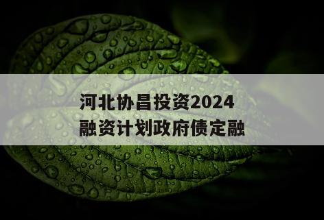 河北协昌投资2024融资计划政府债定融