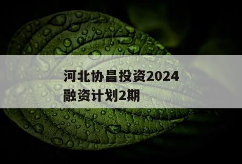 河北协昌投资2024融资计划2期
