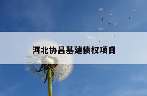河北协昌基建债权项目