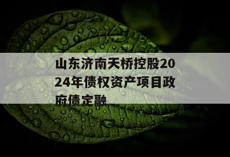 山东济南天桥控股2024年债权资产项目政府债定融