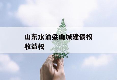 山东水泊梁山城建债权收益权