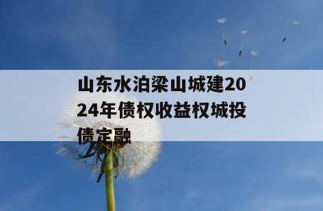 山东水泊梁山城建2024年债权收益权城投债定融