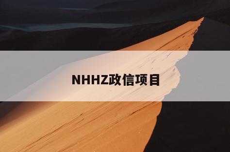 NHHZ政信项目