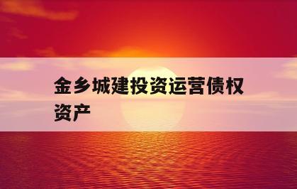 金乡城建投资运营债权资产
