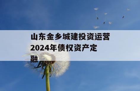 山东金乡城建投资运营2024年债权资产定融