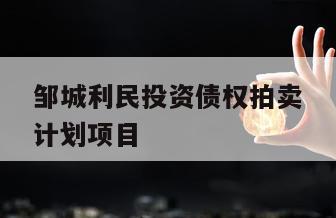 邹城利民投资债权拍卖计划项目