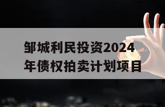 邹城利民投资2024年债权拍卖计划项目