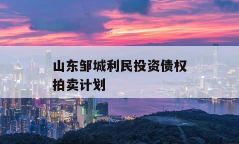 山东邹城利民投资债权拍卖计划
