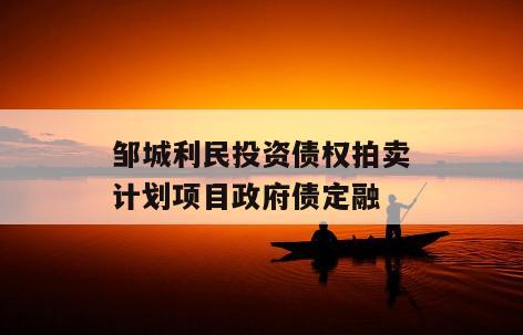 邹城利民投资债权拍卖计划项目政府债定融